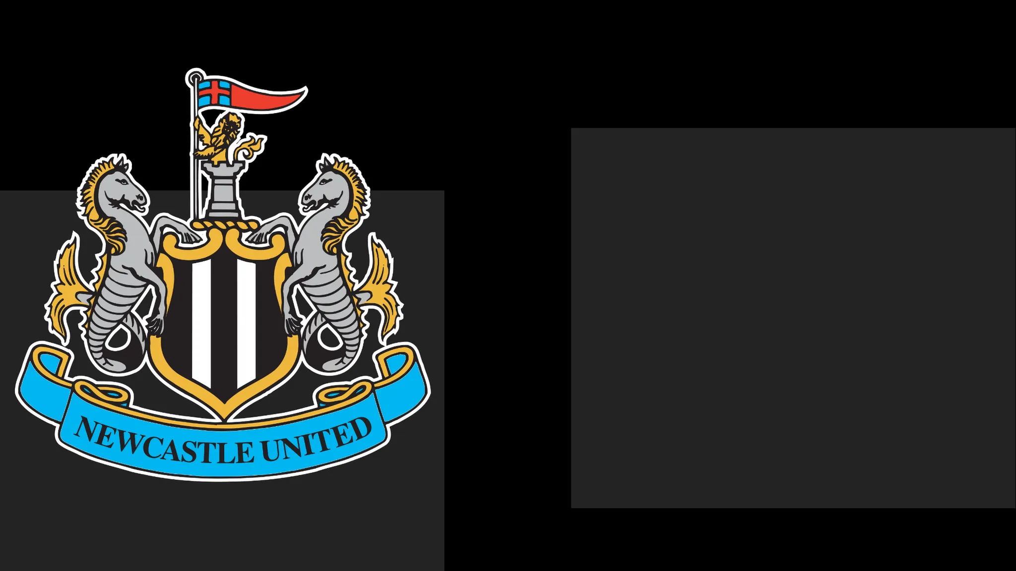 Newcastle's boss Hails Team's Heart – However That Only Carries Them So Far